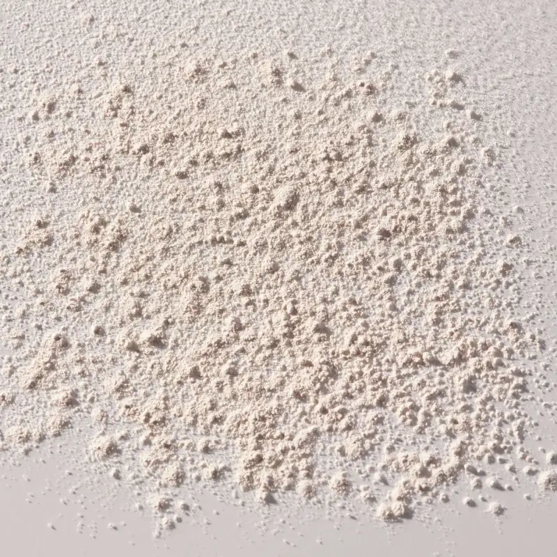 Polvos traslúcidos Fixing Powder